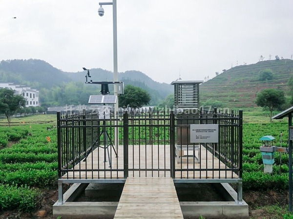 建德市天羽茶园病虫害防治项目.jpg